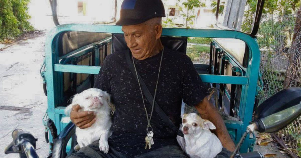 From Wrestling Champion to Animal Rescuer: Chilean Hero Devotes Life to Animal Welfare on Isla de la Juventud