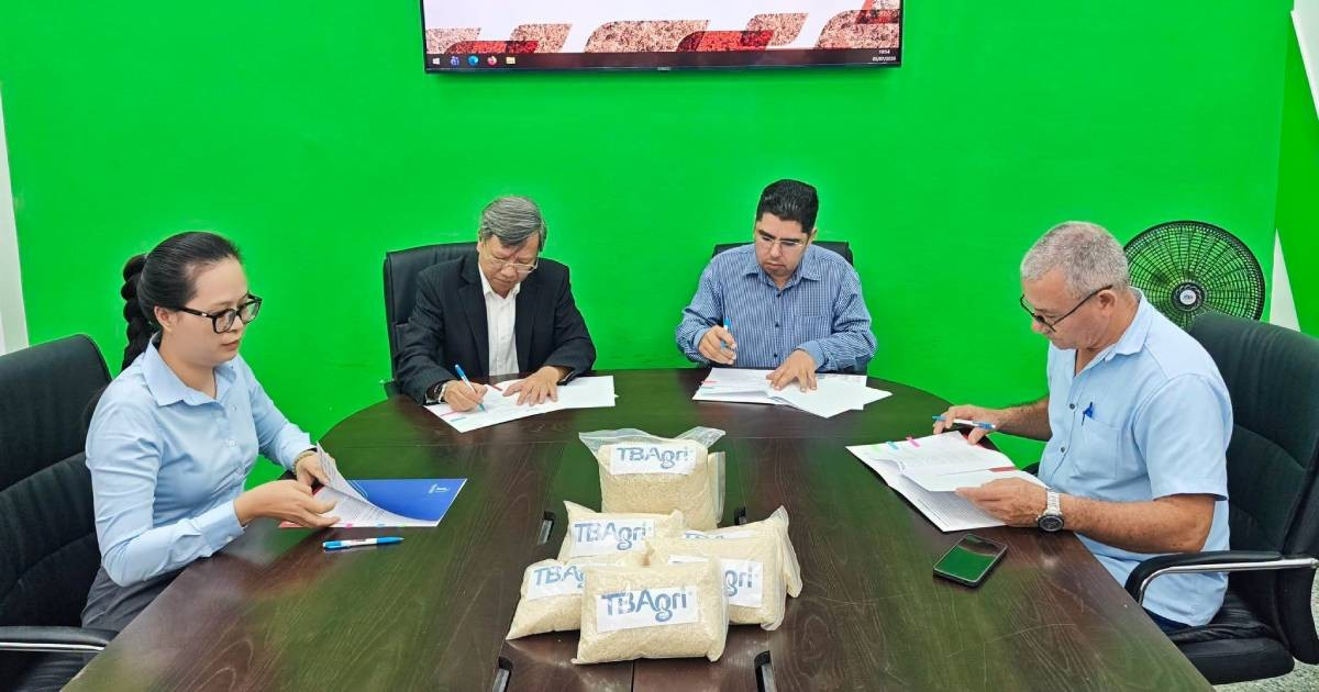 Vietnamese Company Delivers First Batch of Rice Cultivated in Cuba Using Their Technology