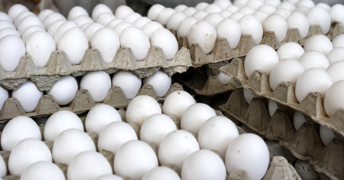 Egg Prices in Cuba Skyrocket to Nearly 6,000 Pesos per Carton