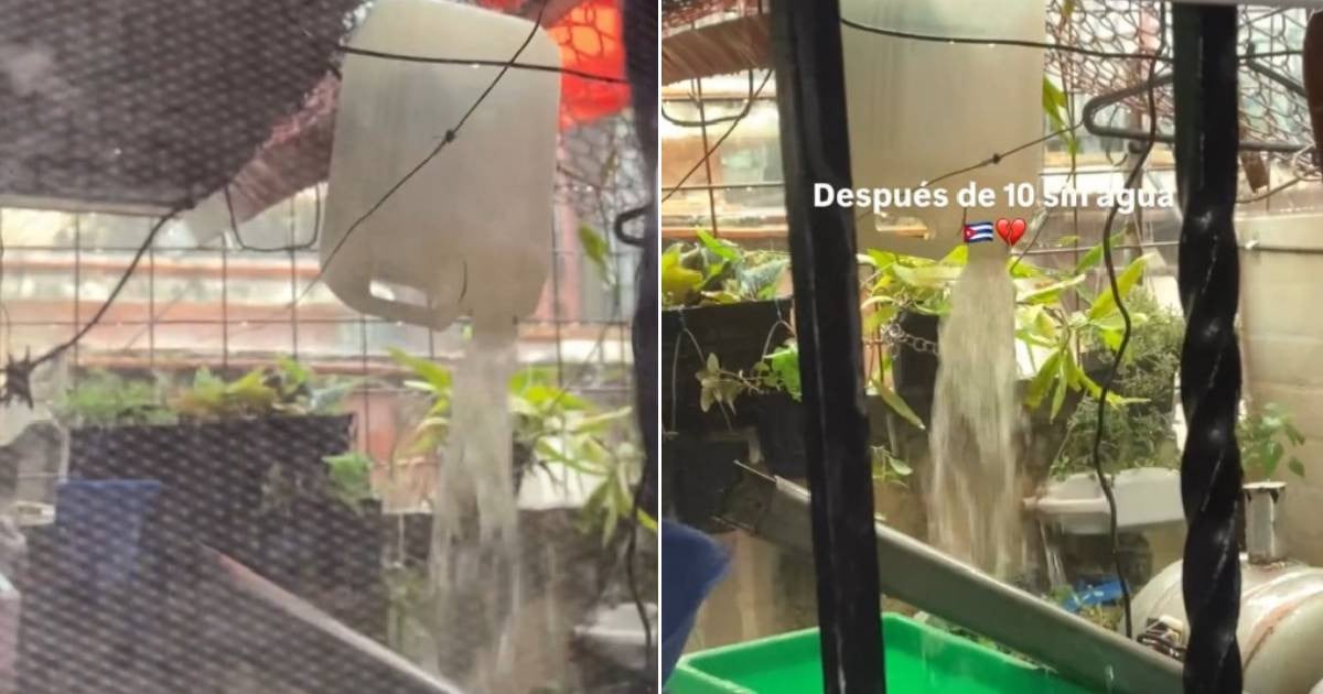 Cuban Woman's Ingenious Rainwater Collection System Highlights Water Crisis