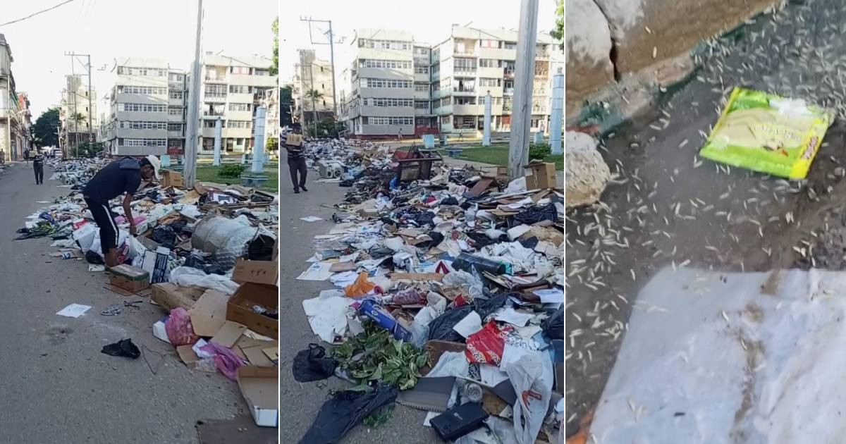 Overflowing Trash in Trillo Park Sparks Outrage Among Centro Habana Residents