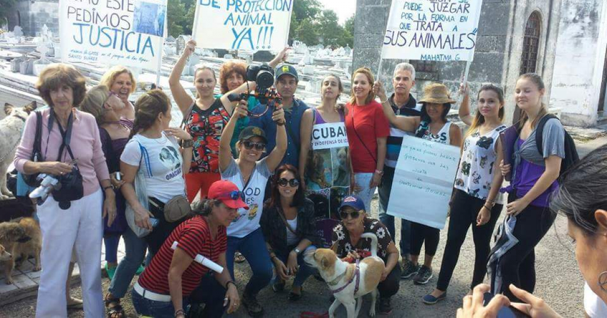 Activistas por los derechos de los animales en Cuba © CeDA/ Facebook