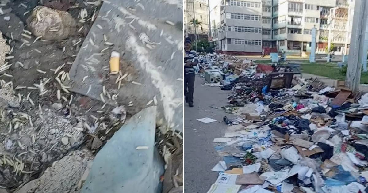 Parque Trillo Overwhelmed by Waste: Residents Voice Outrage Over Garbage Overflow in Central Havana
