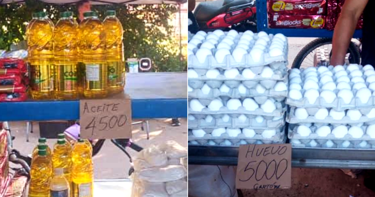 Economic Reversal: Cuba's Shift from Price Caps to Citizen Reporting on Merchants