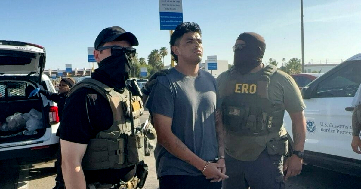 Is ICE Using Excessive Force? Public Opinion Sees a Major Shift