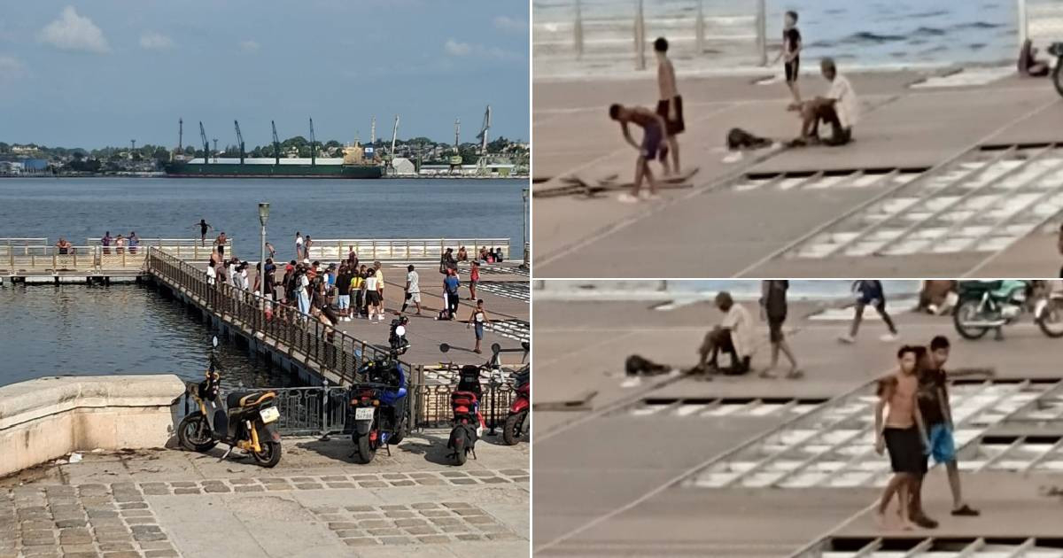 Floating Dock in Havana Bay Faces Neglect and Deterioration, Residents Demand Action