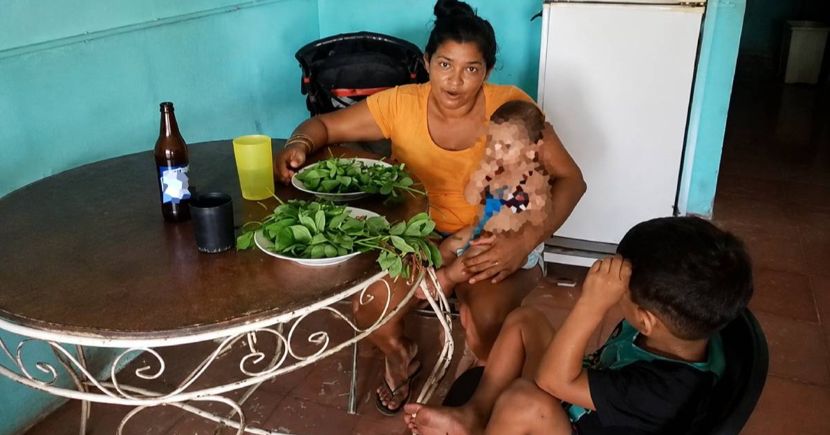 Cuban Mother Highlights Skyrocketing Food Prices: "We'll Have to Eat Grass"