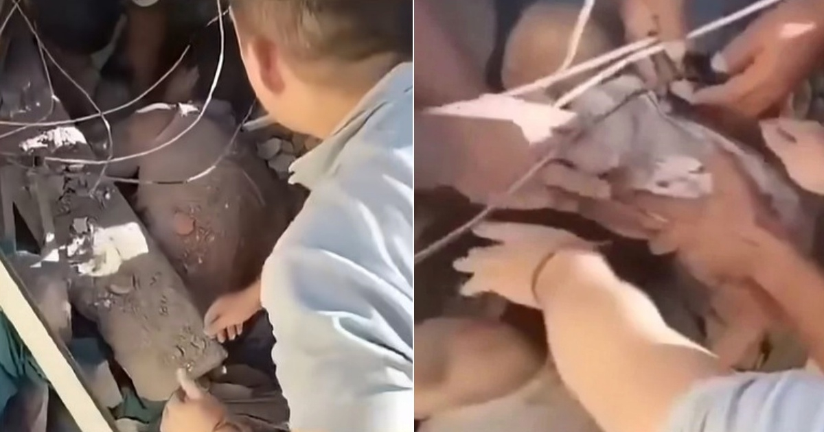 Miraculous Rescue of Infant from Colombian Earthquake Rubble Captivates the World