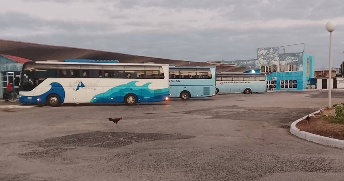 How Much Will It Cost to Travel from Ciego de Ávila to Havana in 2026: An Insight into Transportation, Lodging, and Food