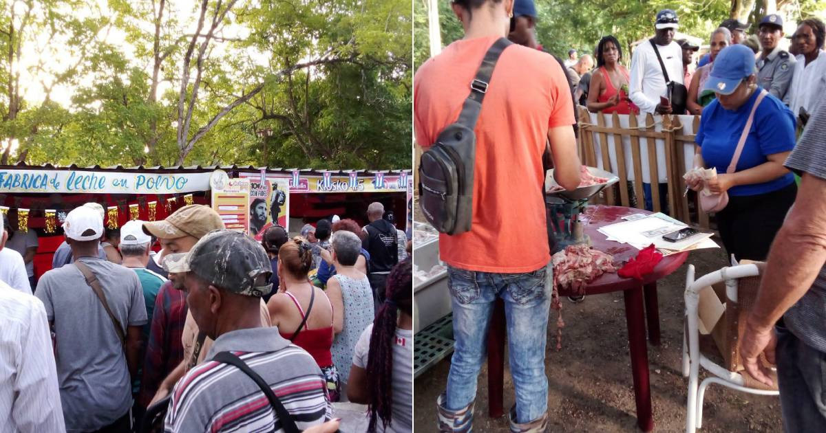 Fidel Castro's Centenary Fair in Camagüey Criticized for "Affordable" Beef Prices at 600 Pesos Per Pound