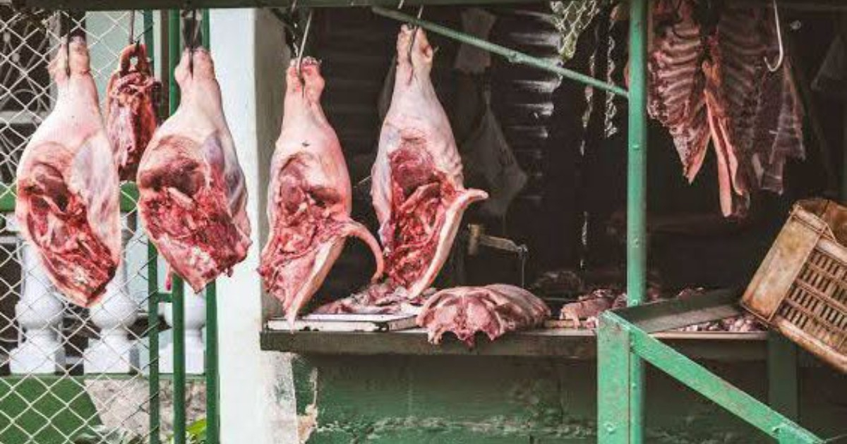 Cuban Food Crisis: As Cooking Oil Vanishes, Pork Fat Becomes the New Scarcity