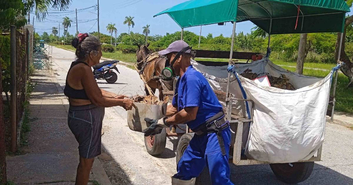 Private Firm Charges for Trash Collection in Isla de la Juventud: A Shift from Public Service to Private Enterprise