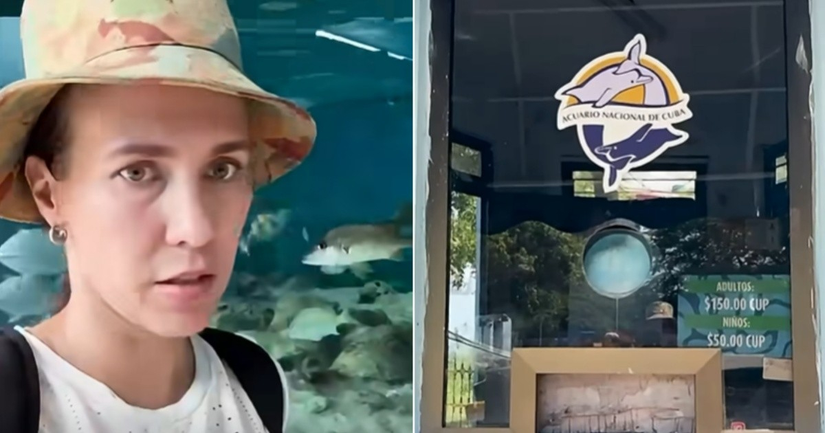 Cuban Visitor Shocked by Prices at National Aquarium: "More Private Businesses Than Fish"