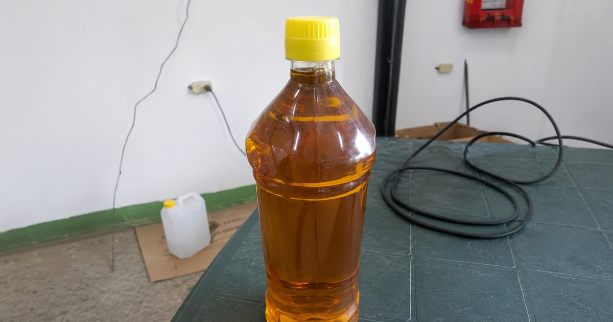 Public Health Warns Against Human Consumption of Oil Sold at Mayabeque Fair: Intended for Animal Use