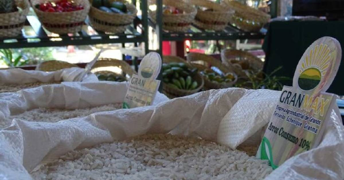 Granma's Virtual Store Launch Highlights State's Inability to Stock Markets