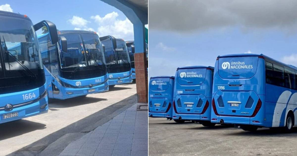 New Yutong Buses Arrive in Holguín and Las Tunas Amidst Strained Interprovincial Transport