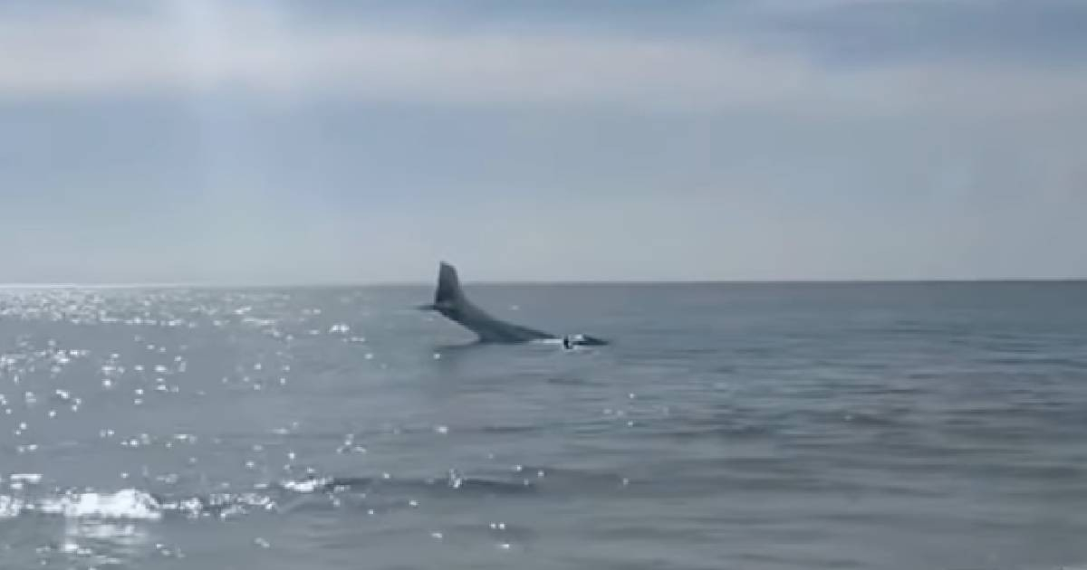 Plane Crashes into Atlantic Off Florida Beach; Pilot Hospitalized as Precaution
