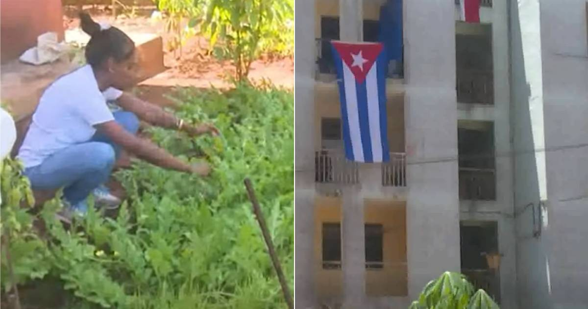PCC's New Social Strategy: Revamping Cuban Neighborhoods