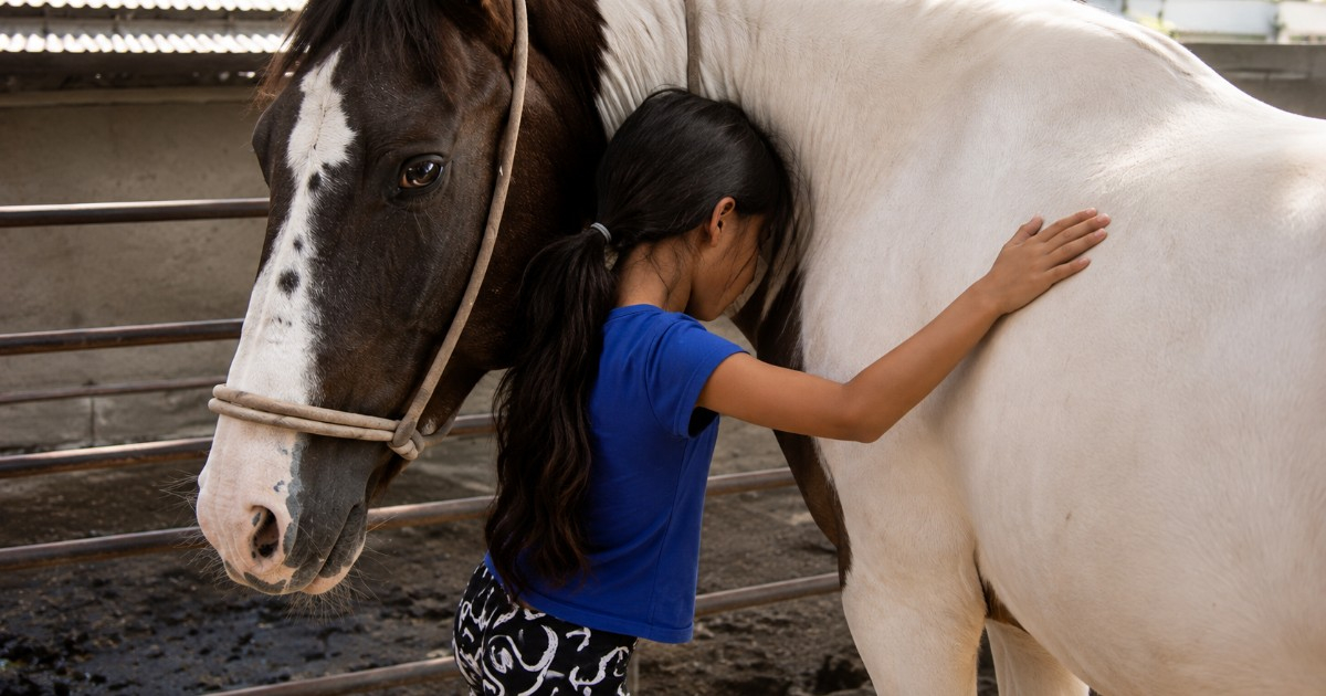 Little Acrobat's Tearful Reunion with Stolen Horse in Matanzas