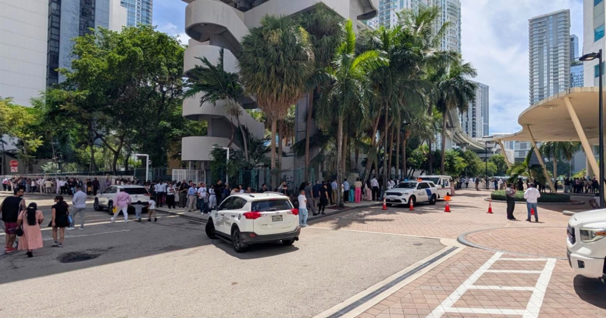 Massive Lines Overwhelm Miami Immigration Court: Lawyers Issue a Stern Warning