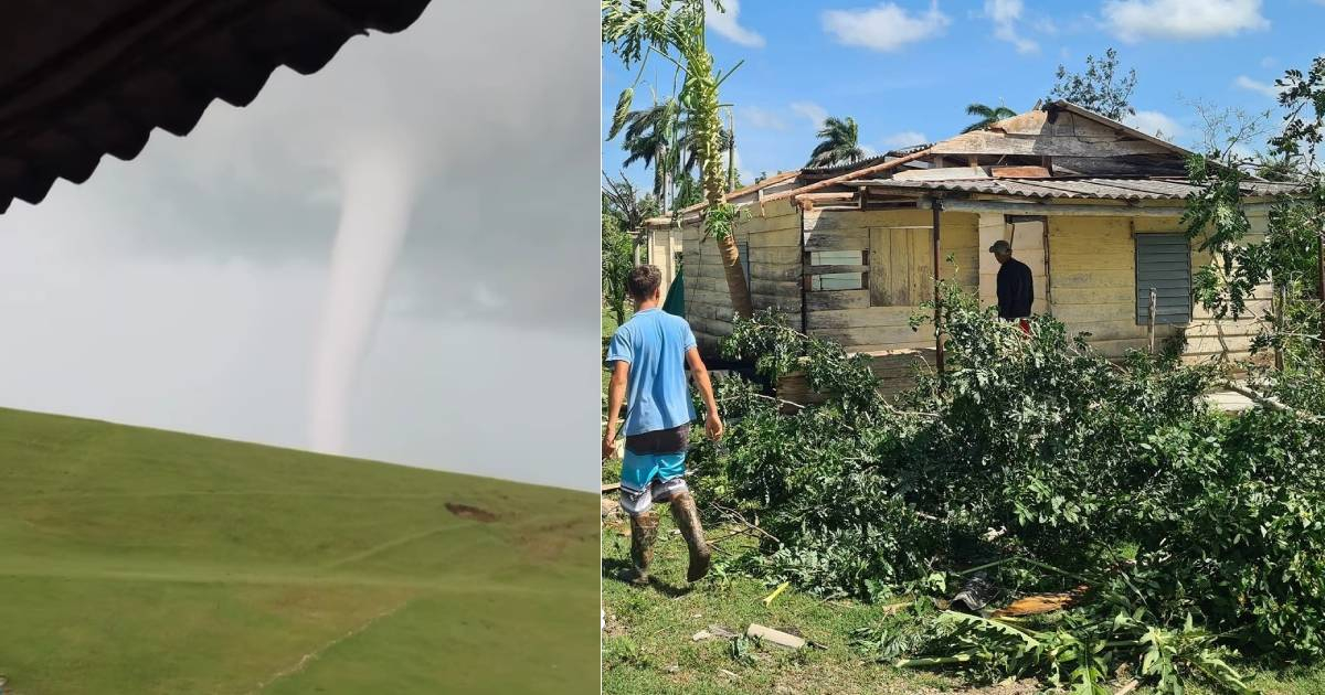 Storm Hits Florida, Camagüey: Fallen Trees and Damaged Homes