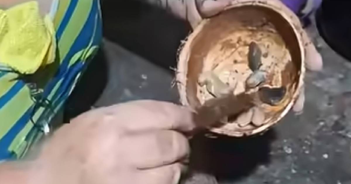Slug Stew? Cuban Woman's Viral Video Highlights Dire Food Shortage