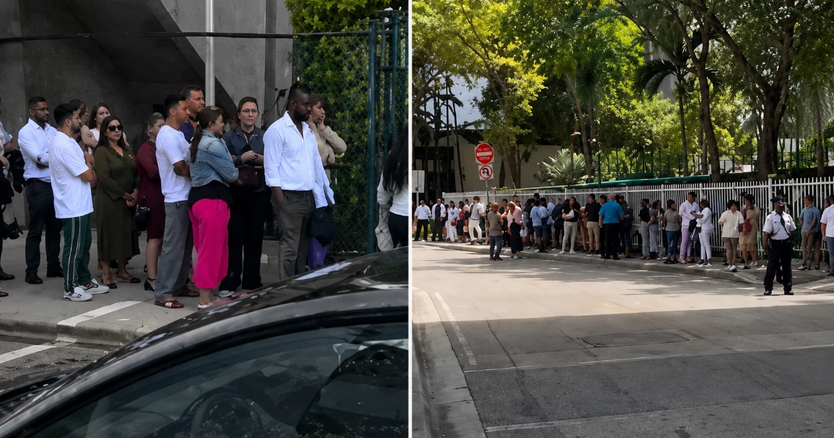 Miami Immigration Court Overwhelm: Willy Allen III's Guidance for Navigating Hearings