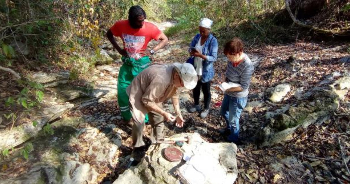 Asteroid Impact That Ended Dinosaurs Leaves Its Mark in Viñales, Cuba