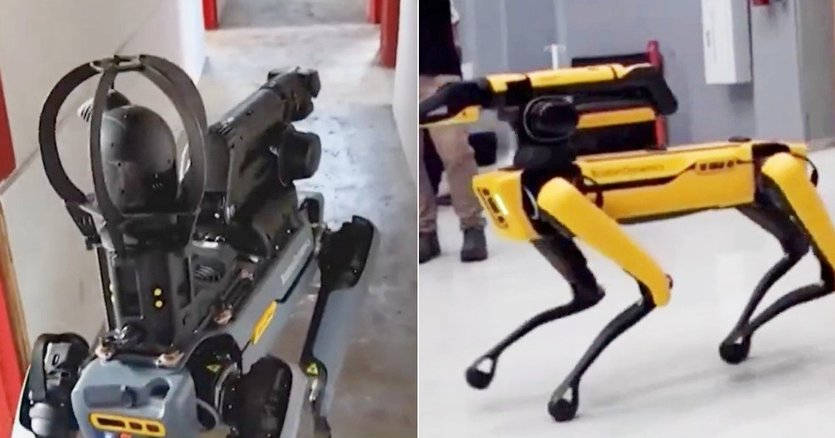 ICE Plans to Acquire Advanced Robotic Dogs: When Will They Be Deployed?