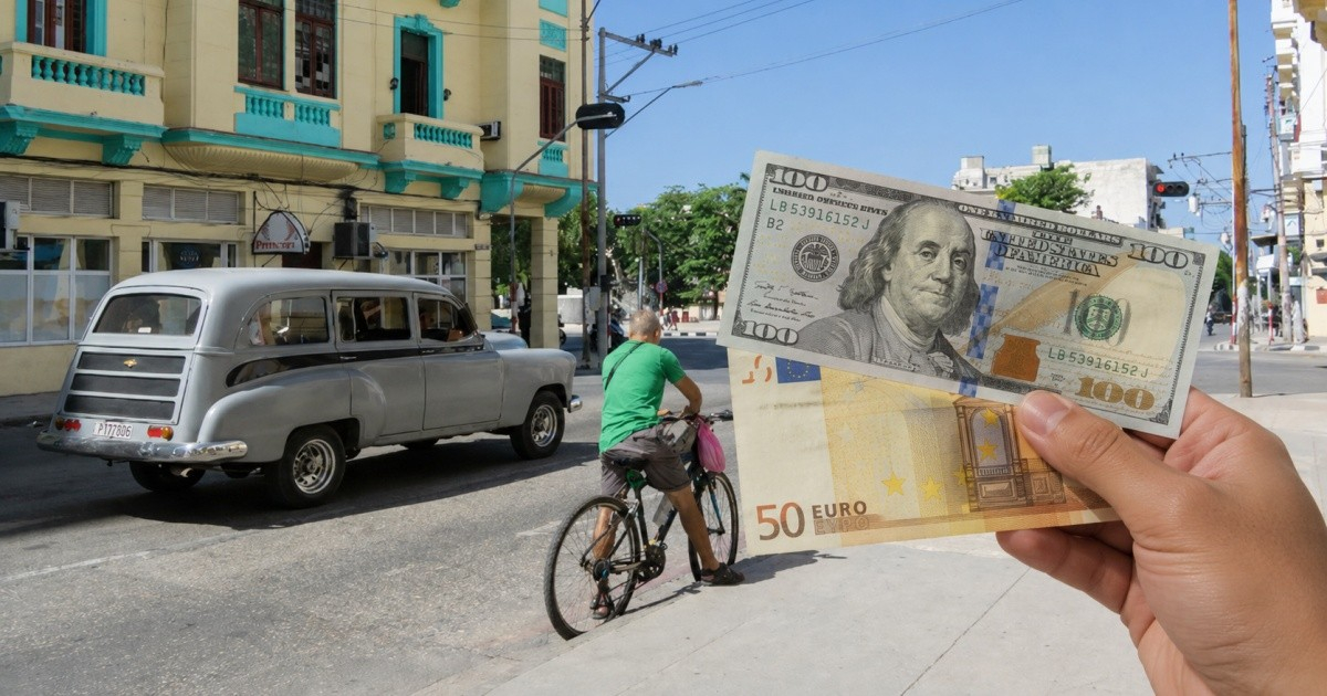 Currency Fluctuation in Cuba's Informal Market: Euro and MLC Climb While USD Holds Steady