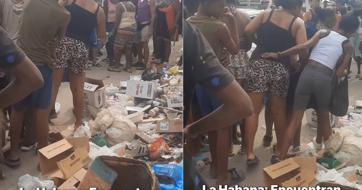 Authorities Probe Discovery of Two Fetuses Among Trash in Central Havana