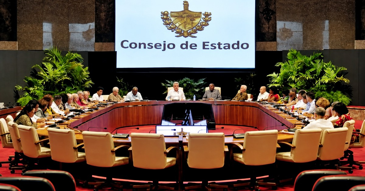Sesión del Consejo de Estado © misiones.cubaminrex.cu