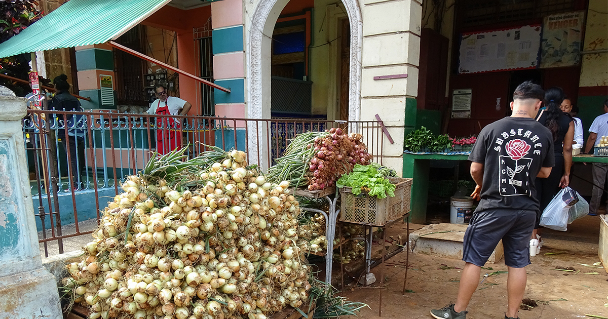 Cuban Council of Ministers Revamps Regulations for Agricultural Product Sales