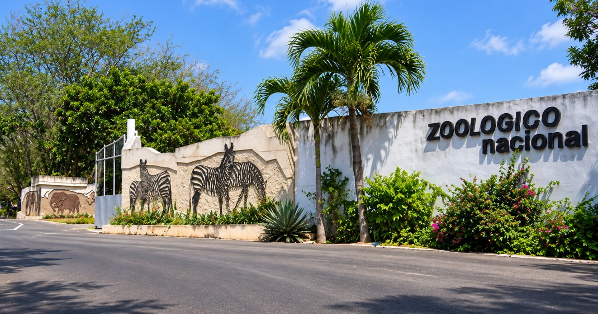 Cuban National Zoo Shuts Down Indefinitely Due to Power and Water Shortage