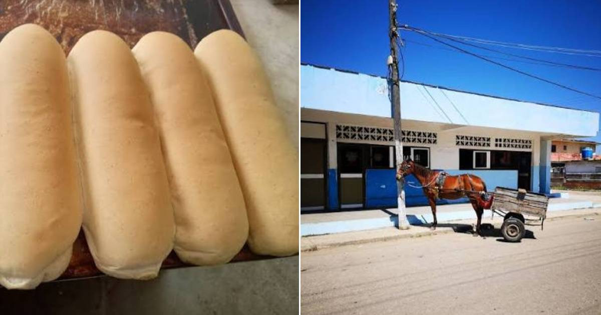 Unchecked Resellers Exploit Bread Shortage in Cojímar, Havana