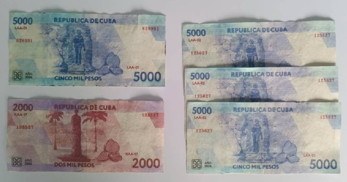 Six Arrested in Manzanillo for Distributing Counterfeit 2,000 and 5,000 Peso Bills