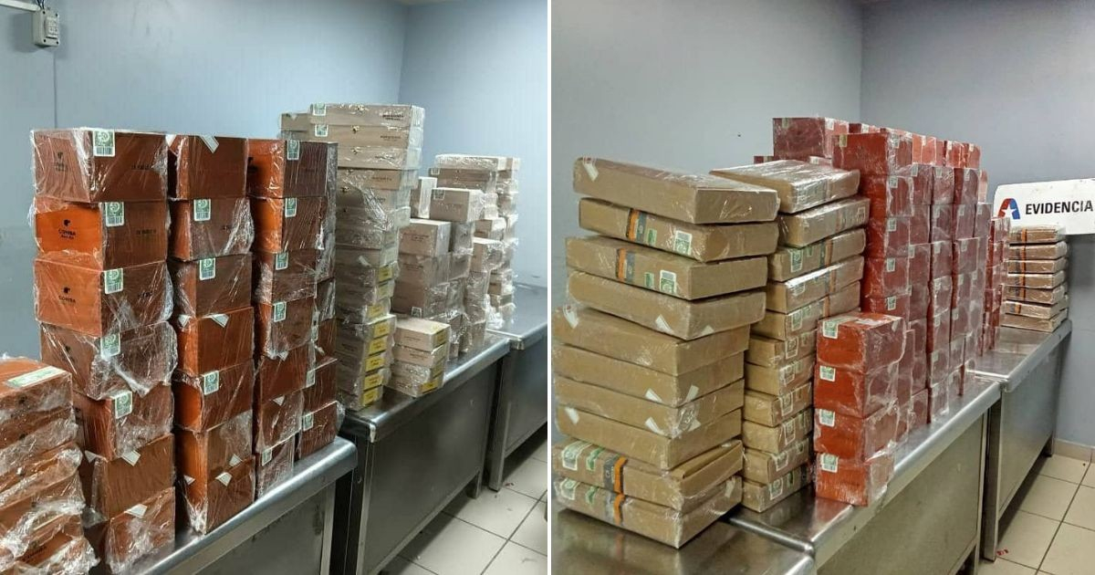 Attempts to Smuggle Tobacco Out of Havana Foiled by Customs