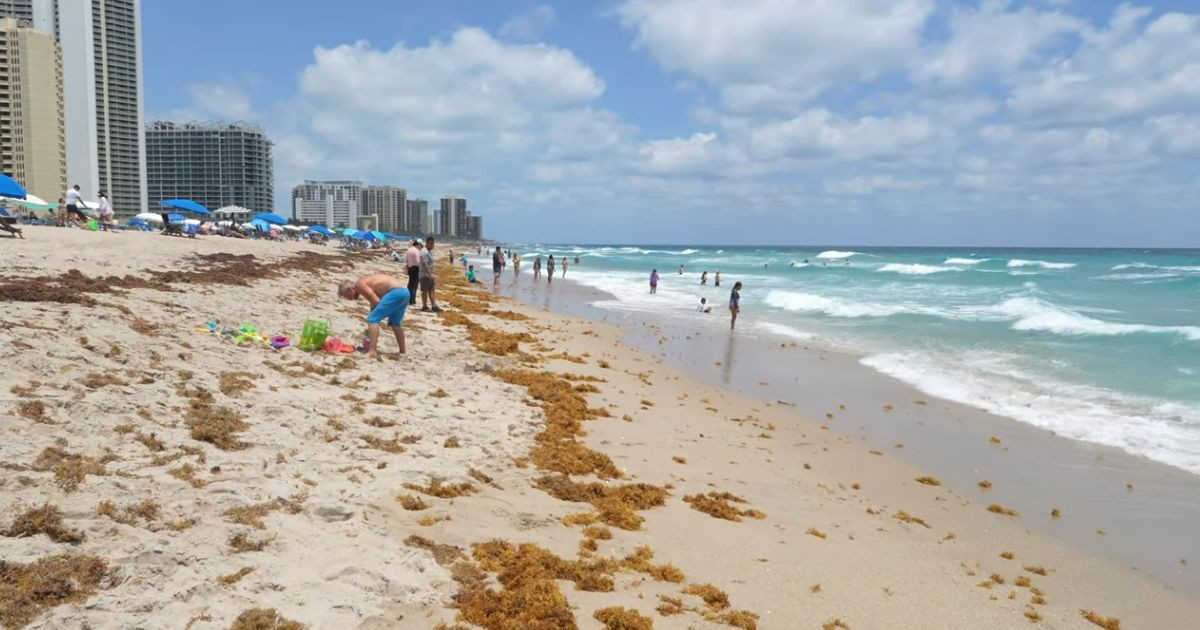 Florida Lifts Health Alert at Popular Park Following Drop in Bacteria Levels