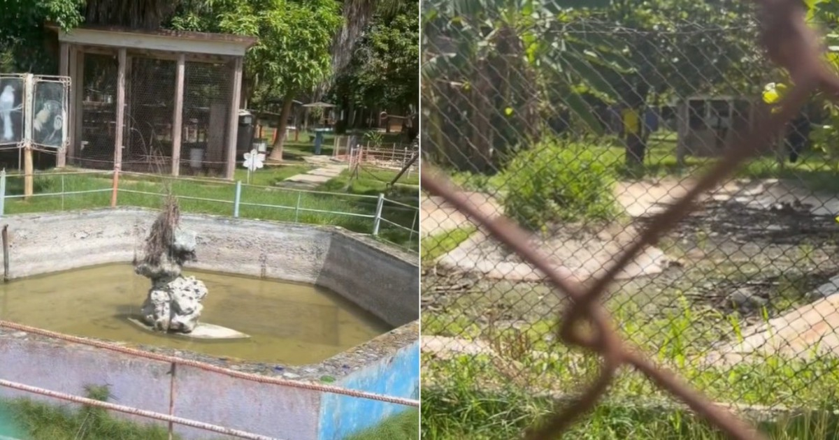 Empty Cages, Overgrown Weeds, and Trash: A Grim Reality at Colón Zoo, Matanzas