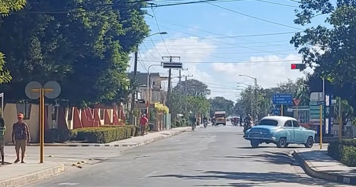 Animal Welfare Group Reports Severe Abuse Case in Holguín