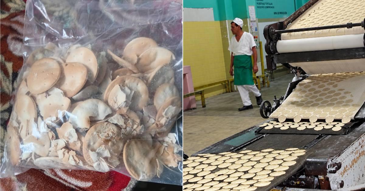 Cookies Celebrated in Matanzas Fall Short of Promises