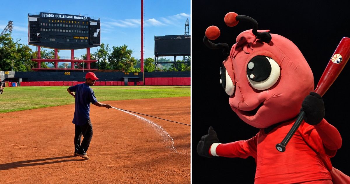 Unsung Hero of Santiago de Cuba: From Groundskeeper to Avispa Mascot