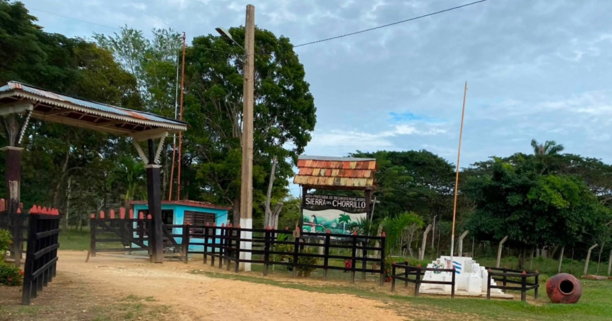 Abandonment of Protected Area in Najasa, Camagüey, Highlighted; Under Guillermo García Frías' Watch