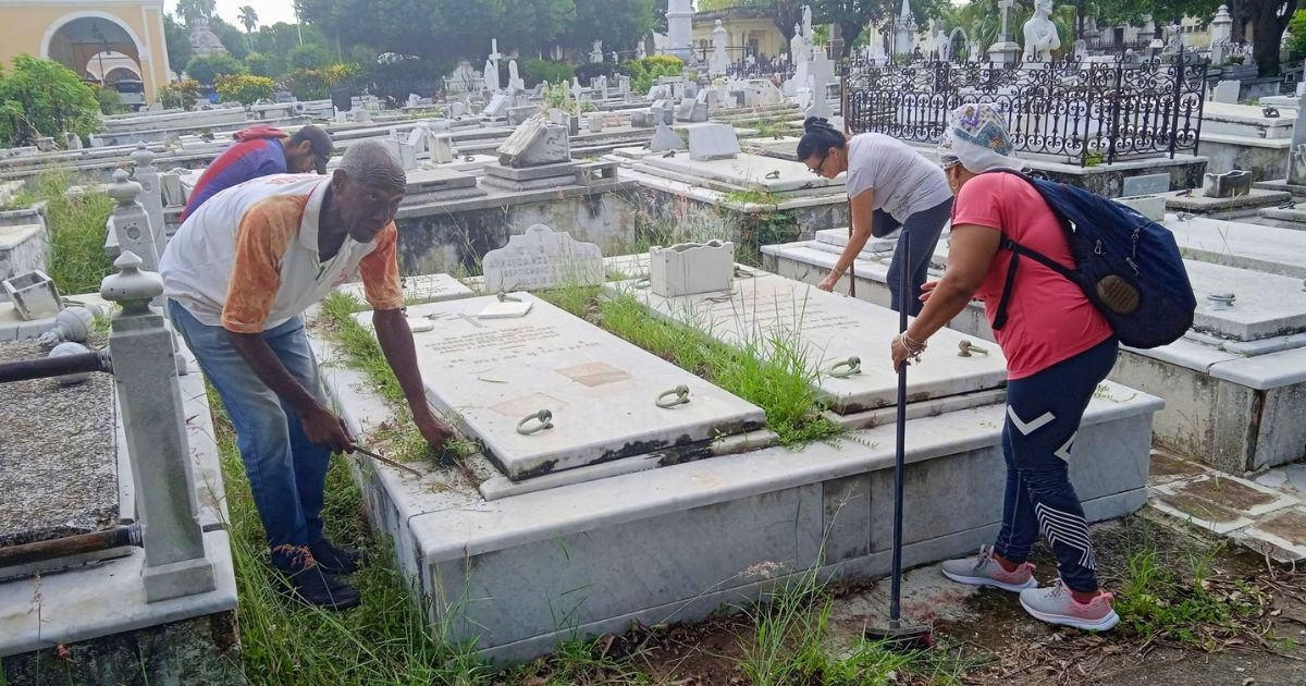 Writers' Graves Overtaken by Weeds at Colón Cemetery; Cuban Book Institute Initiates Cleanup