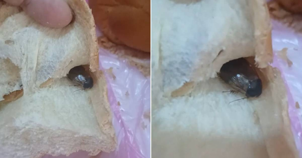 Check Your Bread: Shocking Discovery in Morón, Ciego de Ávila