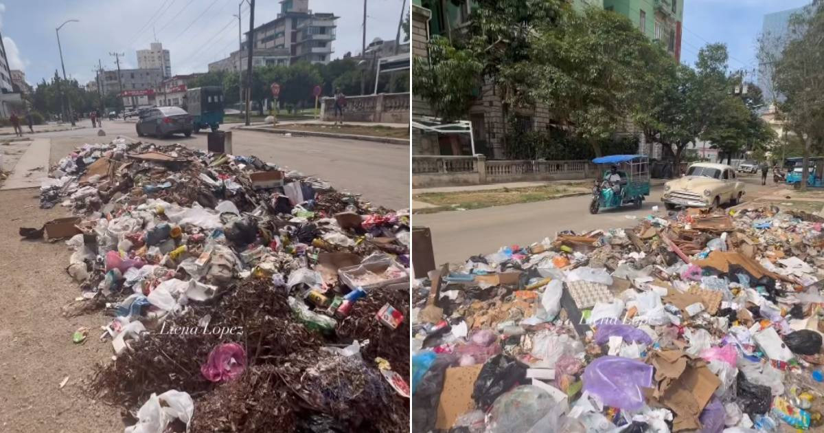 "Waste Piles Up in Havana’s Vedado: What About the Rest of the City?"