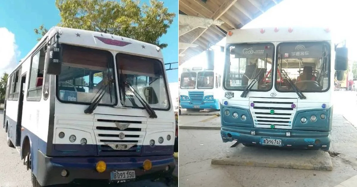 State Buses Charge 800 Pesos as Tunerian Municipality Boasts Economic "Achievements"