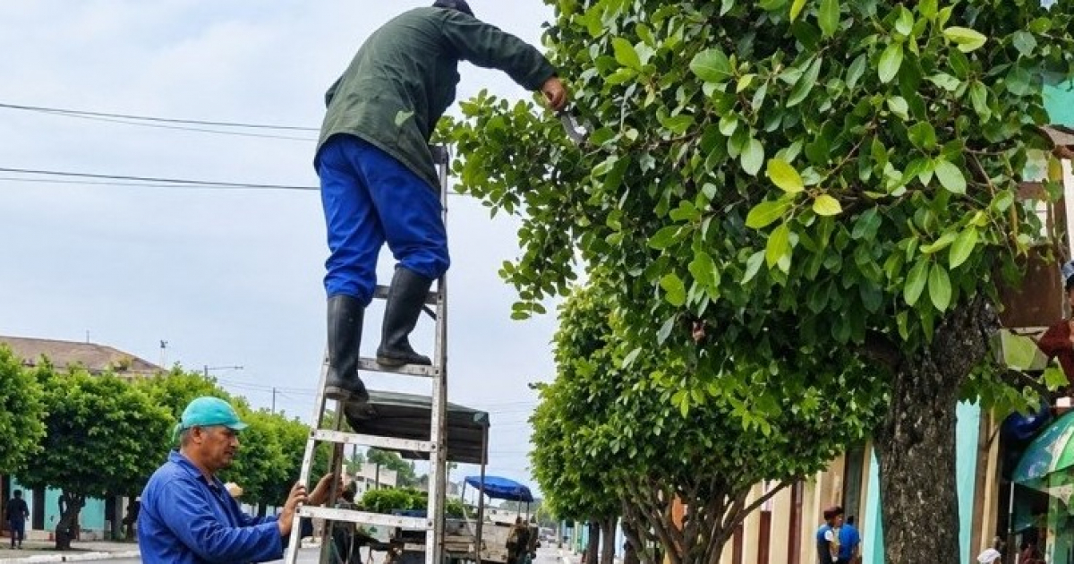 18-Year-Old Tragedy: Electrocution Claims Life During Tree Trimming in Cabaiguán