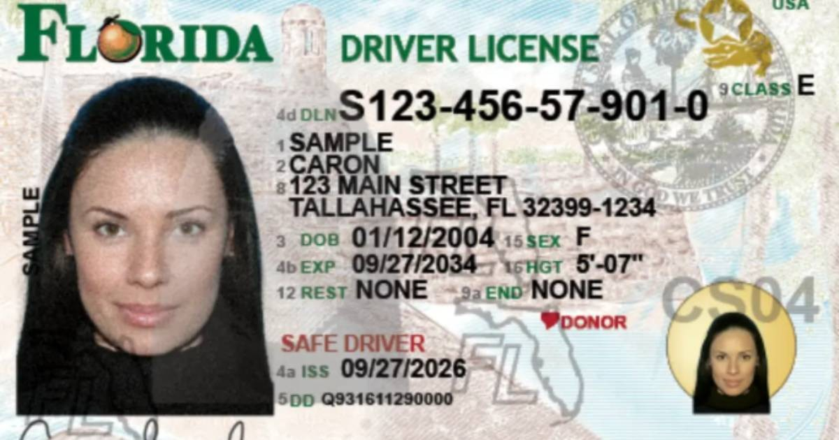 Florida Rolls Out New Driver's Licenses: What Changes and What Happens to Citizenship Information