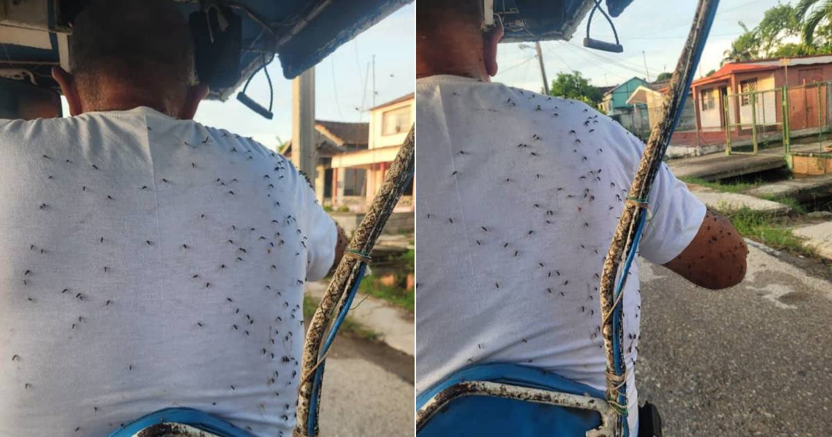 Mosquito-Covered Man in Batabanó Sparks Debate: Reality or AI Manipulation?